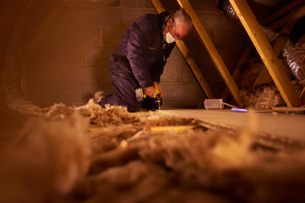 Best Insulation Installation Services in Mabank, TX